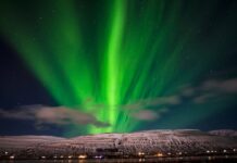 Pochi sguardi nobili vedran l’aurora